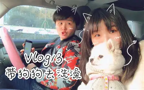 溏心VLOG 唐心VLOG 心糖VLOG全系列内容